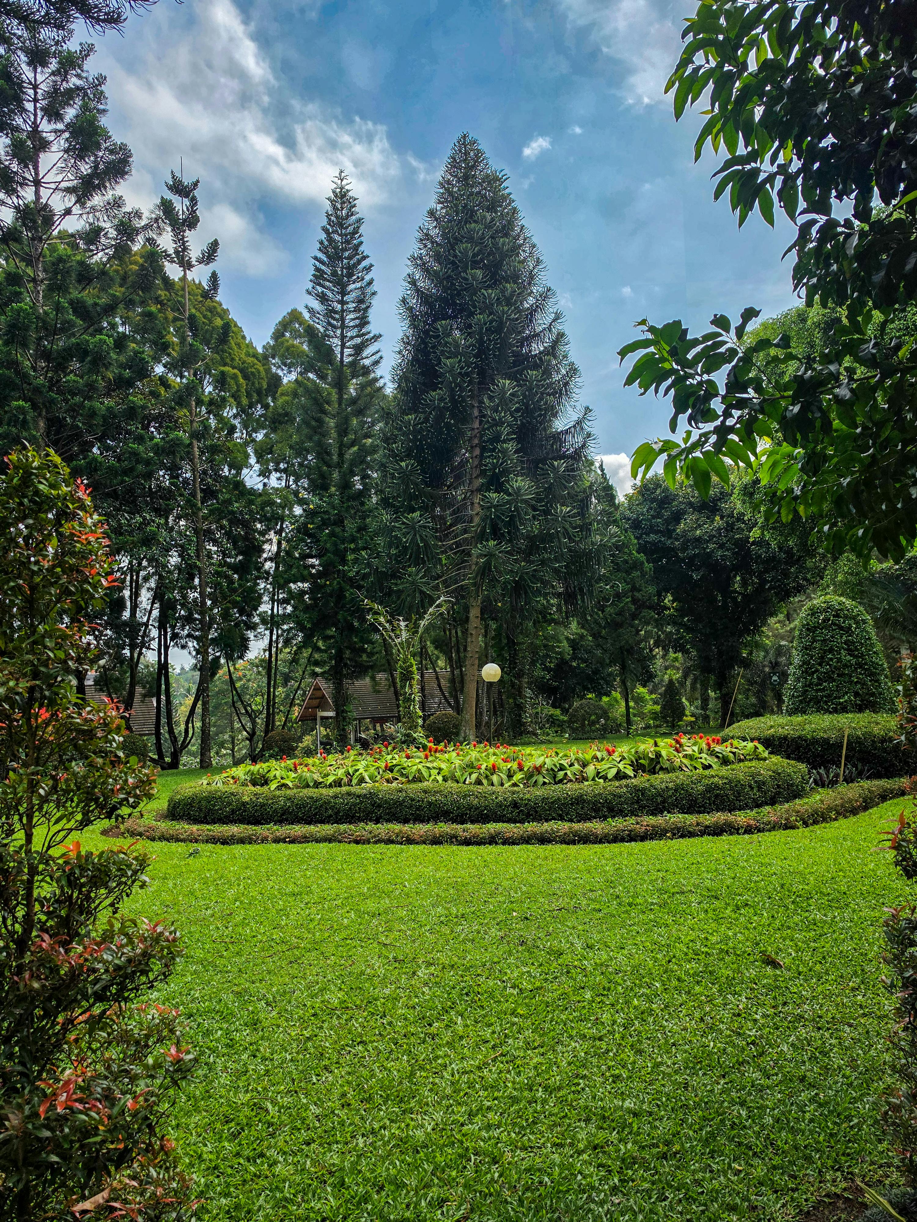 Manicured garden and lawn after Smart Shine Africa landscape maintenance